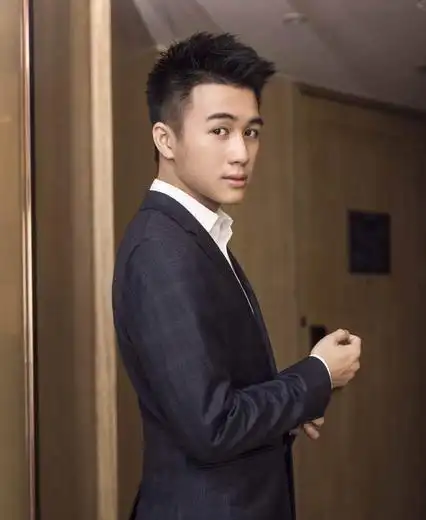 何猷君任湖北政协委员(28岁赌王之子何猷君当官) - 帮企客