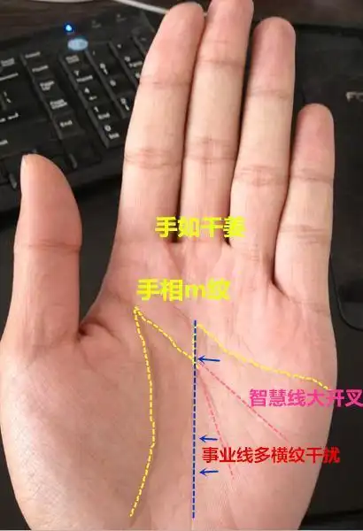 一生有几个孩子生男还是生女手上就能看出来特别准