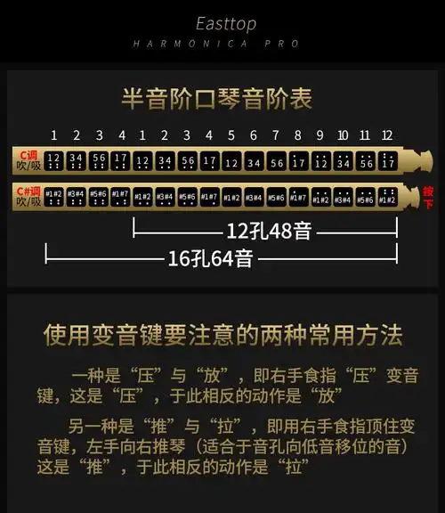 新春好礼 东方鼎口琴12孔c调金色梦想者十六孔半音阶口琴成人初学者