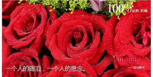 想念你 怀念你,想念你