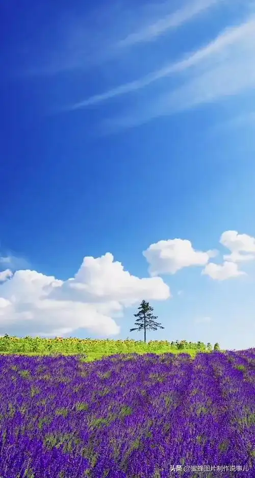 美图风景,美图风景图片大全唯美(壁纸美图,自然美景如诗如画)