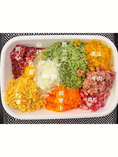 自制狗饭荤素搭配拆家不累