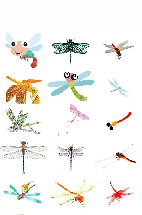 可爱的蜻蜓卡通动物画素材