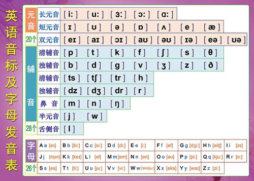 英语48个音标表 26字母发音表元辅音拼读贴纸贴图家庭墙贴挂图 d款