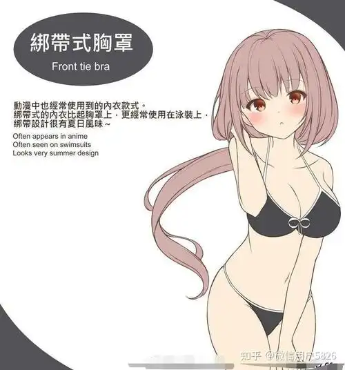 胸罩科普栏目女孩子千万别进