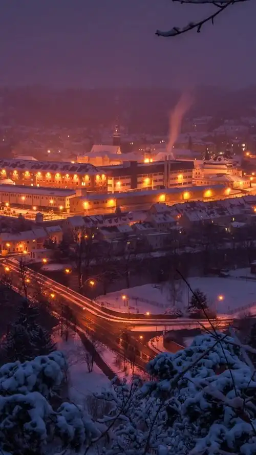 德国,萨克森,桥梁,夜,河,城市,雪,冬天 iphone 壁纸