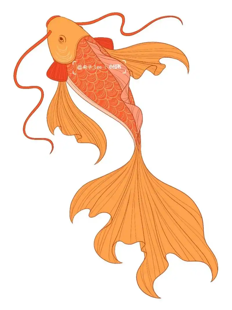 今日份国风插画小元素——锦鲤(内含步骤) 国风插画小元素打卡第2张!