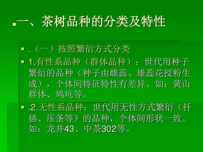 茶树品种介绍
