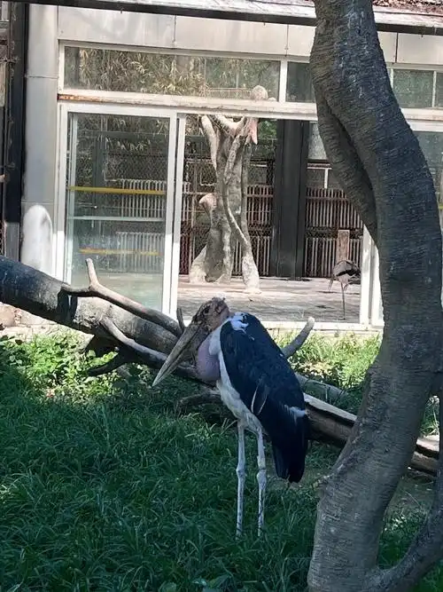 北京动物园##西直门三太子