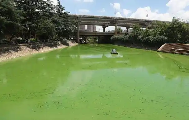 随着人类社会的高速发展,大量的工业废水,生活污水以及农业面源污染物