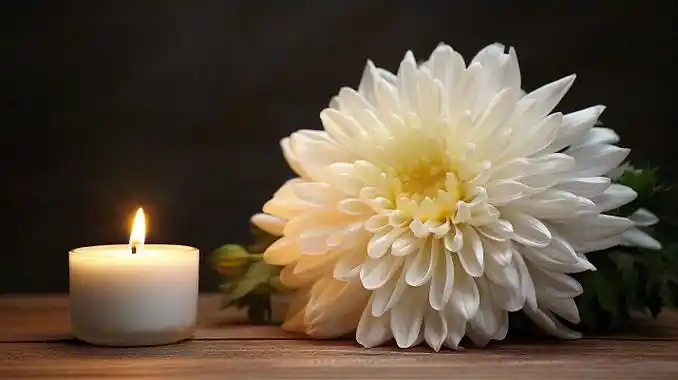 悼念的白色菊花和蜡烛白烛哀悼