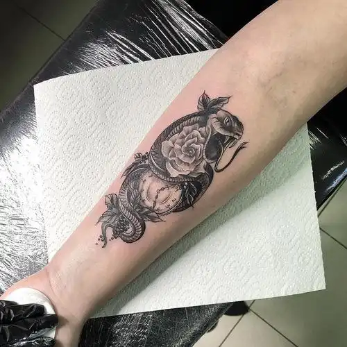 小臂蛇盘玫瑰钟表纹身图案