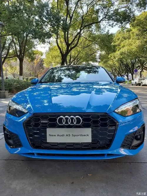 【图】新a5流光蓝～涌动全城(下)_奥迪a5论坛_汽车之家论坛