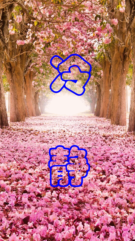 450_800竖版 竖屏gif 动态图 动图