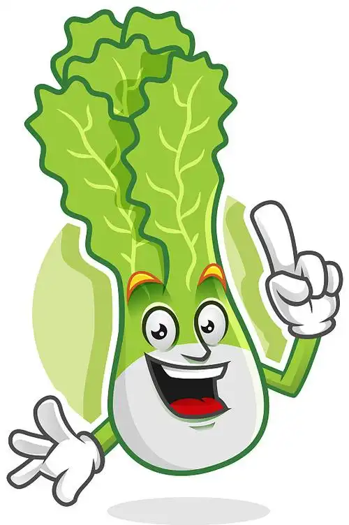 我有个主意,生菜吉祥物生菜角色图片