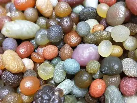 教你在新疆怎么捡石头