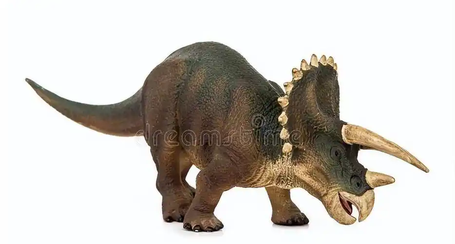 三角龙主要以什么为主食,古生物学,化石是推理的依据_龙的_恐龙_三角