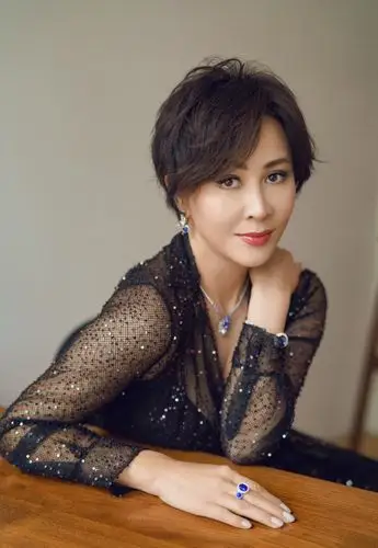 刘嘉玲穿深v黑纱长裙性感 侧颜优越气质成熟有魅力