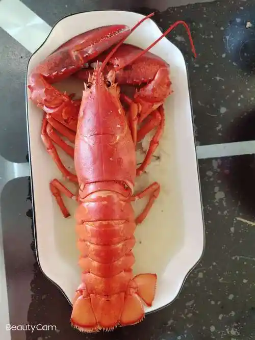 新年第二道拿手菜:清蒸大龙虾!