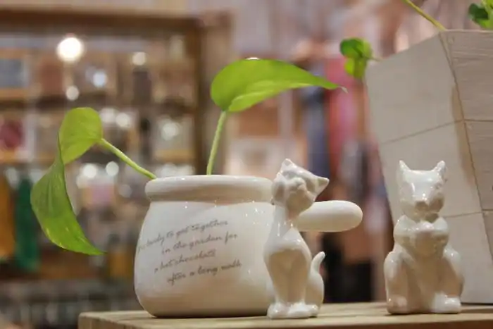 六件精致的家居好物,提升生活的幸福感,你家有在使用吗?