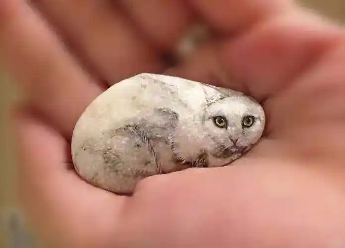 这些石头手工艺品你肯定没有见过!