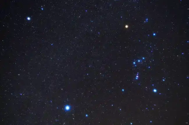 藏在冬季大三角的天狼星