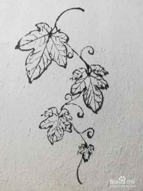 爬山虎秋景简笔画