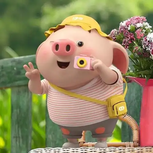 猪小屁的那些图片