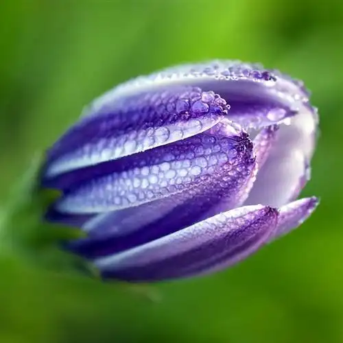 网名,有气质有涵养中年女人的网名有哪些(适合中年女性的昵称和头像)