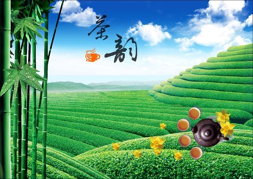 700海报印制海报展板写真喷绘贴纸素材961茶韵图片