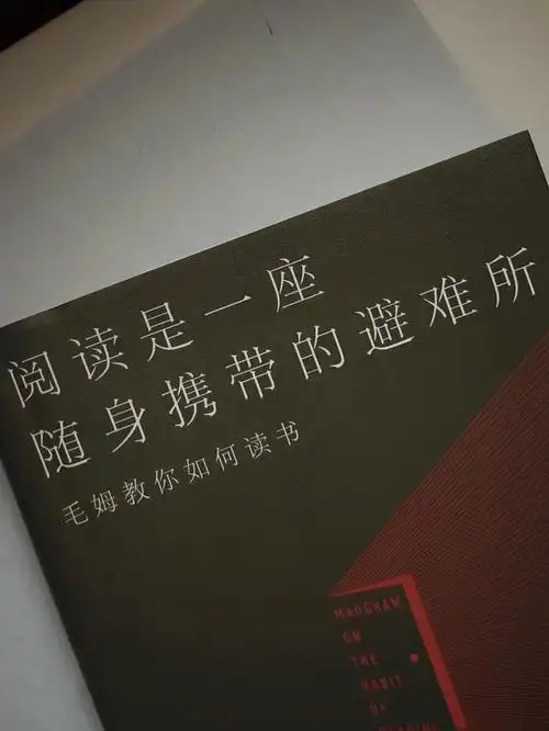 书单分享阅读是一座随身携带的避难所