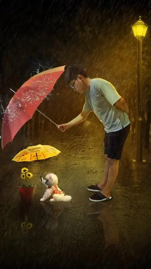 下雨天?有人为你撑伞吗?