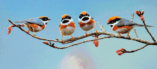 500_222gif 动态图 动图