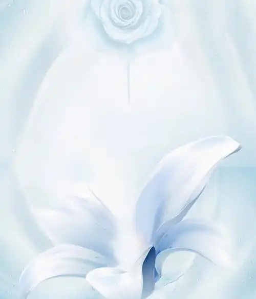 美容化妆品海报背景免抠素材免费下载_觅元素51yuansu.com