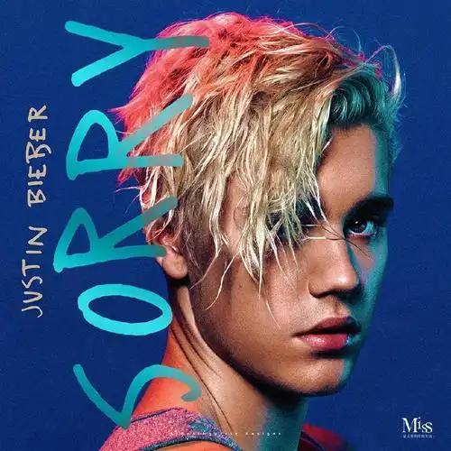 我一点都不羡慕justin bieber的未婚妻,我只羡慕他的拖鞋