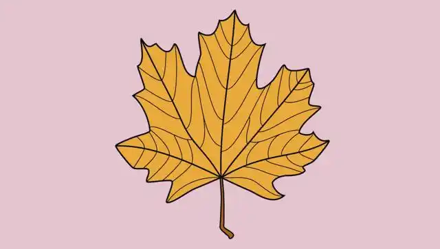 47 金黄的梧桐树叶简笔画