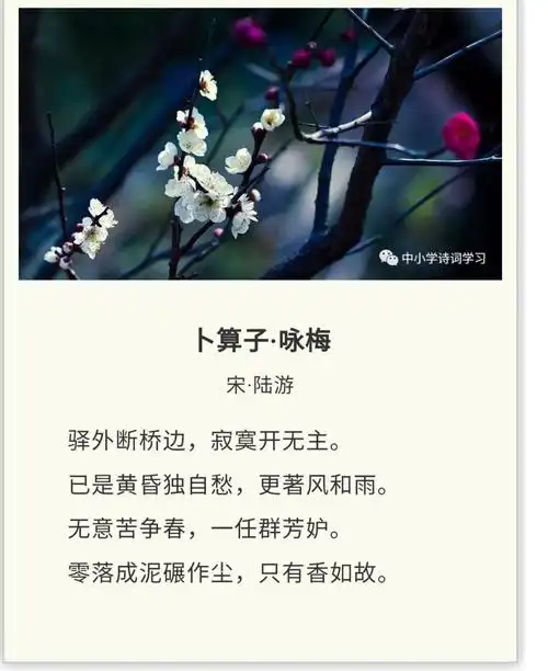 (①)陆游的卜算子永梅