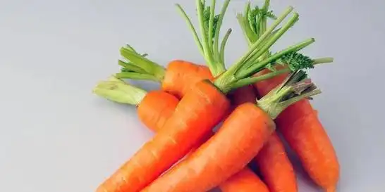 胡萝卜都在什么时间播种播种时需要注意哪几点