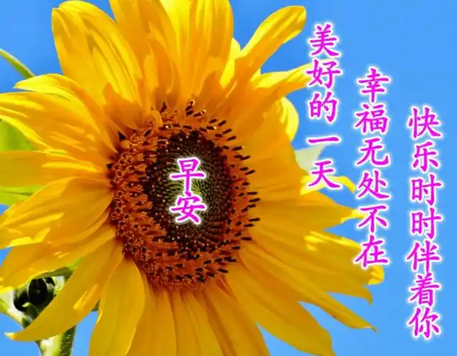 今天最好的早上好图片带问候语2020微信早安图片祝福语
