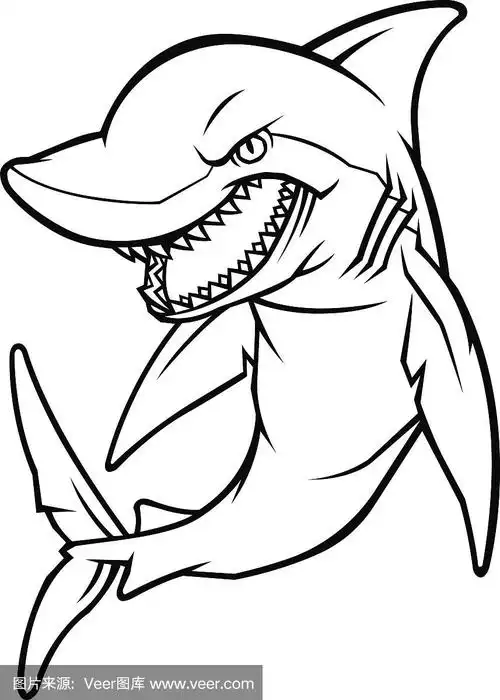 鲨鱼.向量的简单说明.