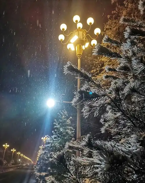 山西阳城:夜晚雪景美如画