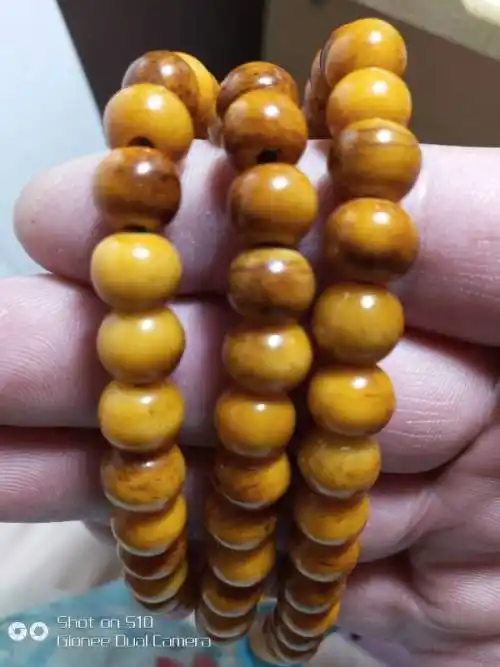 得到一串虎骨手串,高手看看真假