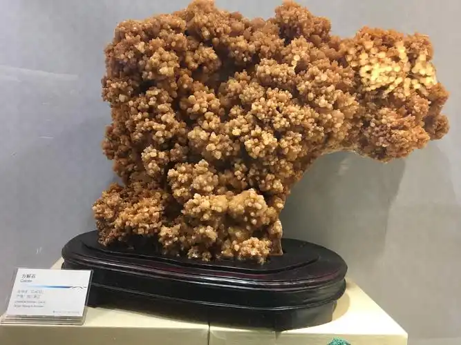 让我带你领略大鹏博物馆的奇珍异石