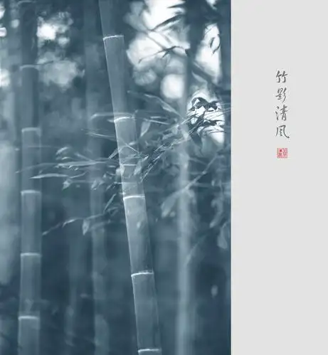 用多重曝光的手法,让画面有一种竹在清风中摇曳的意境,用冷色调来表现