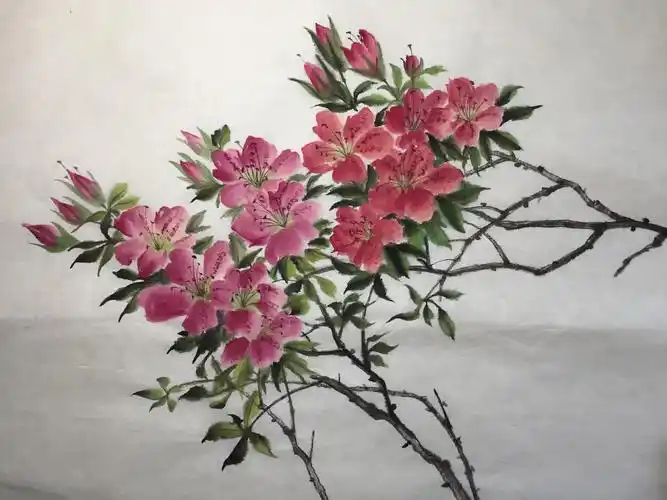 每日一画写意杜鹃花