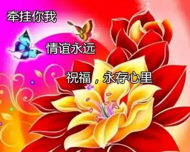 早上好问候祝福语图片美好的一天真诚的友谊一份牵念四季平安