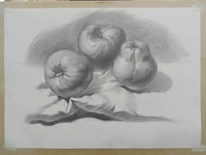 素描水果练习作业》by __x酱