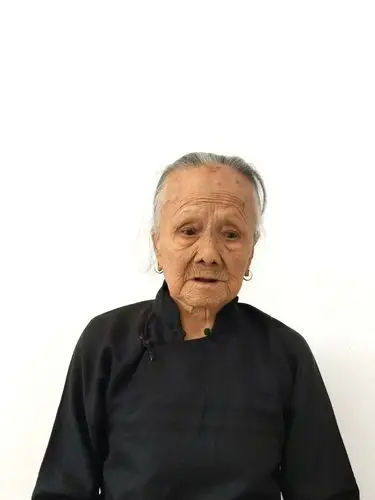 刘氏宗亲分布全镇18个村1个居委会中的41个屋场,在全镇80岁以上老人有