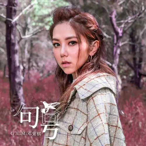 邓紫棋摩天动物园专辑写真图片38