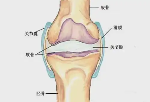 关节炎|肌肉|秋裤_网易新闻